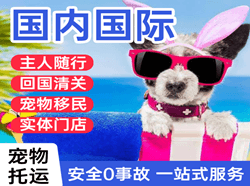 桂林航空托运国际宠物托运 【国